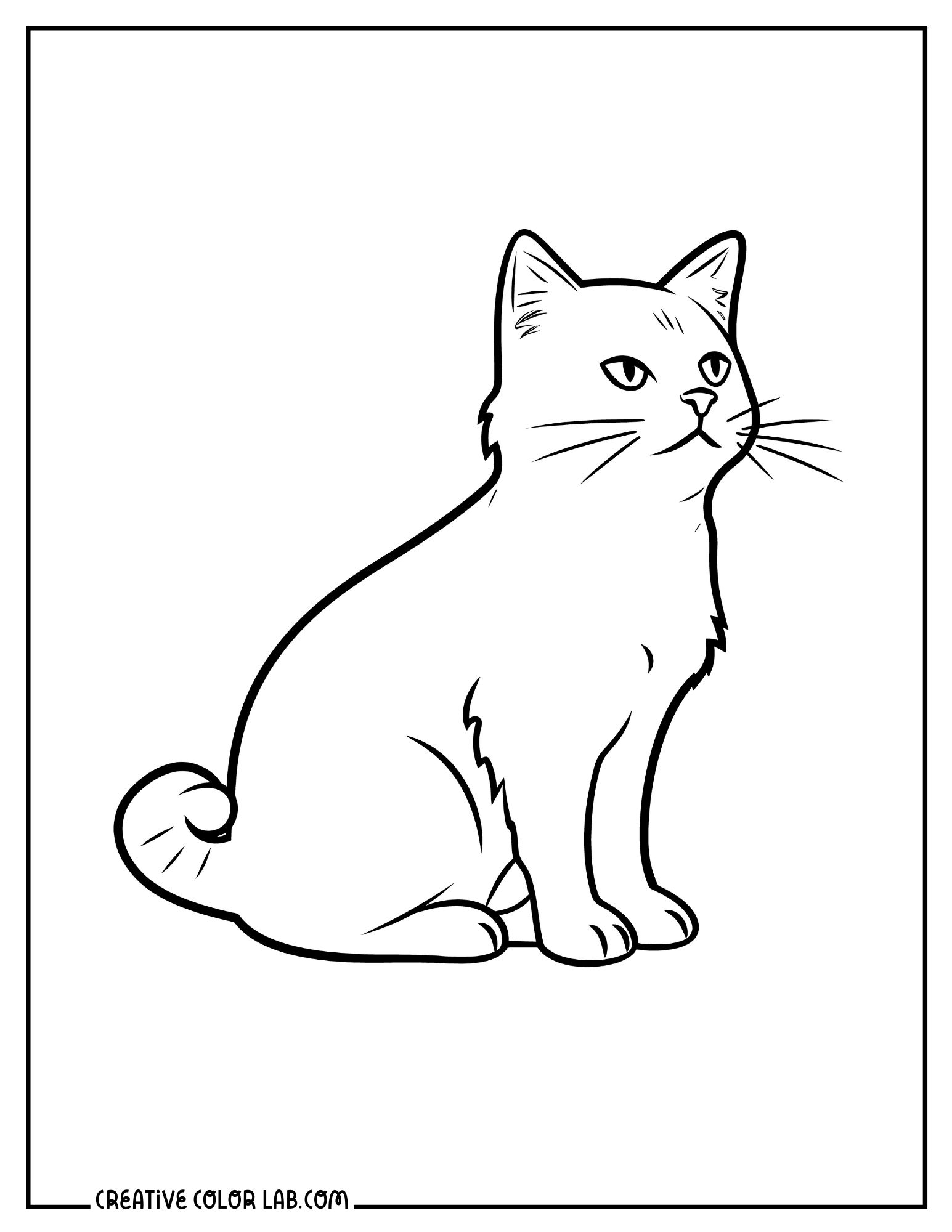 Cat coloring page