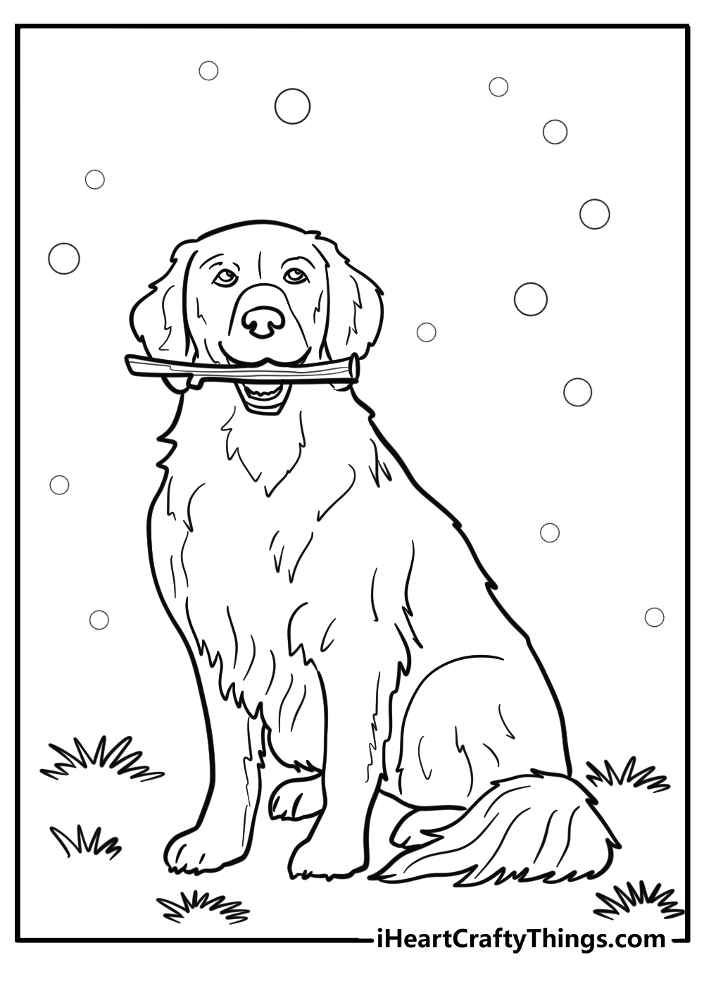 Dog in park coloring page